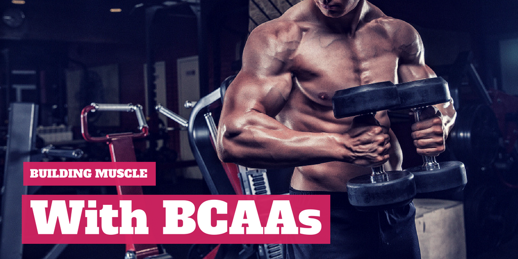 Bcaa bodybuilding deals